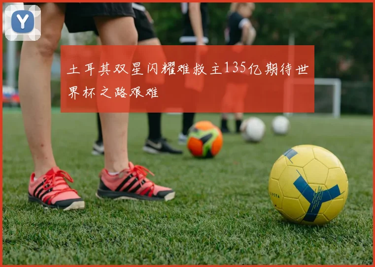 土耳其双星闪耀难救主135亿期待世界杯之路艰难