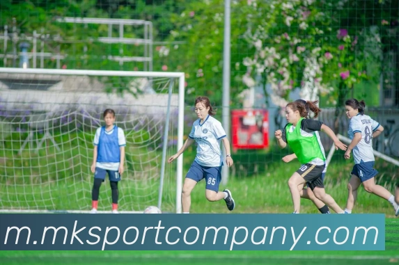 多媒体互动体验