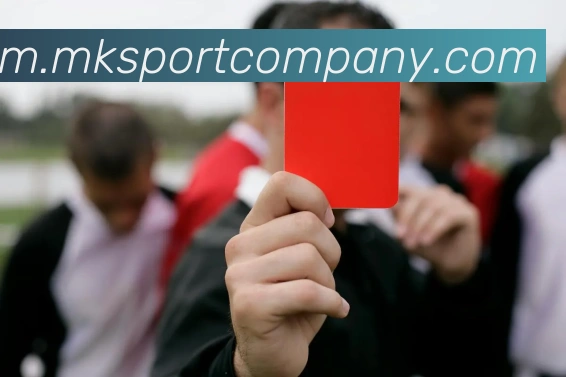 MK体育APP 高清赛事图