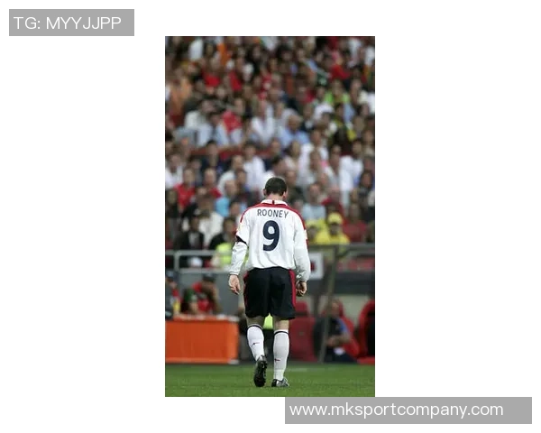 英格兰年度最佳回顾鲁尼四度获奖创历史纪录